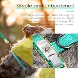 ThinkPet Hundemarke, reflektierend, atmungsaktiv, weiches Air-Mesh mit QR-Code, Erstickungsfrei, für Welpen, kleine, mittelgroße Hunde und Katzen, klein, blaugrün