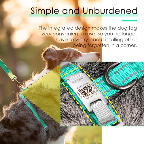 ThinkPet Hundemarke, reflektierend, atmungsaktiv, weiches Air-Mesh mit QR-Code, Erstickungsfrei, für Welpen, kleine, mittelgroße Hunde und Katzen, klein, blaugrün