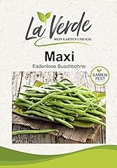 Buschbohne Maxi Bohnensamen