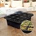 BoloShine Bandeja Semillas, 3 Piezas Semillero Bandeja Invernadero Interio con Agujero para...