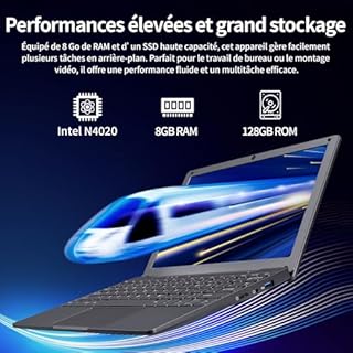 LONGEVINCE Mini Ordinateur Portable De 10,1 Pouces, Processeur Celeron N4020,1280 * 800, Mémoire 8G, BT5.0, Type-C, USB3.0 * 2, Mini HDMI, Carte TF,0,79 Kg(Gris,8GB+256G SSD)
