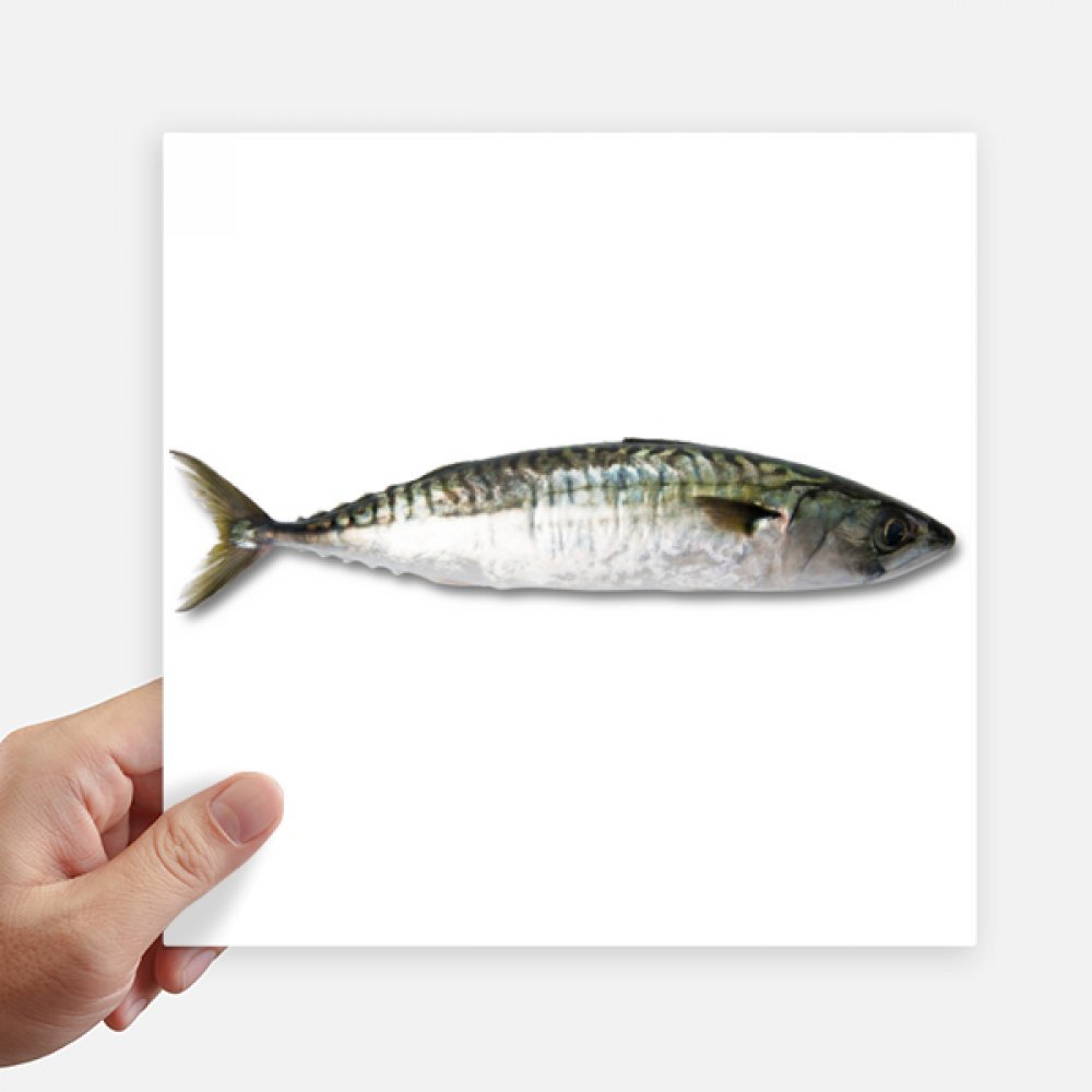 Pegatinas Ocean Fish de 20cm para personalizar tu maleta de viaje y ordenador portátil
