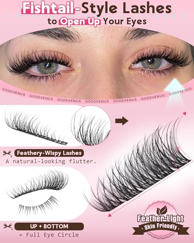 Image of 220Pcs Wispy Lash Clusters Kit Cluster Eyelash Extensions Kit Natural DIY C Curl Individual Lashes Clusters With Bottom Eyelashes