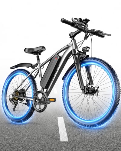 For Commuting And Trails（grey-10ah Batt）