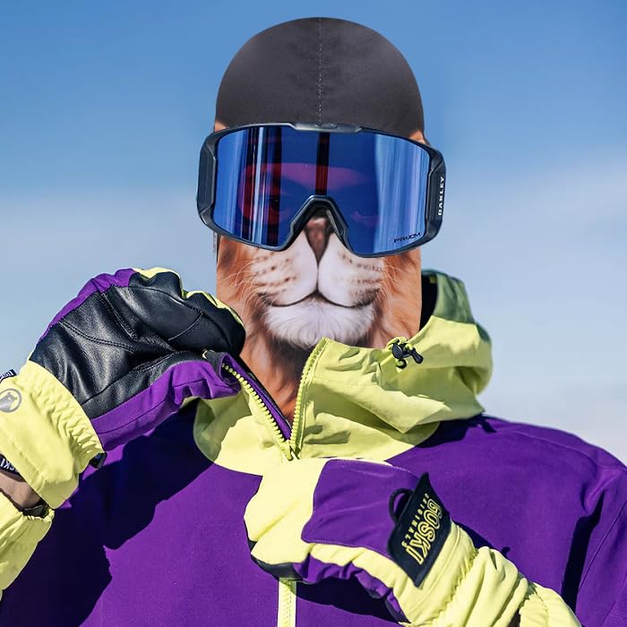 Image of Balaclava Mask 3D Print Full Face Mask Cooling Neck Gaiter Sun Protection Face Cover Mask Windproof Ski Mask