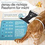 HUND IST KÖNIG Hundewindeln für Hündinnen (3 Stück) - Hochabsorbierende Läufigkeitshose für Hündinnen mit 3-Fach Justierung - Umweltfreundliche Hunde Windeln, Hundehöschen Läufigkeit & Inkontinenz