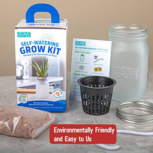 Back To The Roots Self Watering Grow Kit - Glass Hydroponic Planters For Succulents And Cacti - Hassle-Free Self-Watering System #TOP5