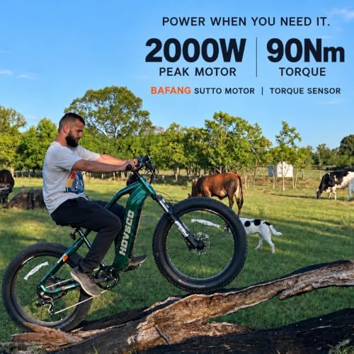 HovAlpha Torque Sensor E-Bike, 2000W Peak Motor, 48V 20Ah, 26x4 Fat Tires image 8