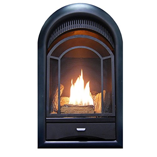 Dual Fuel Ventless Gas Fireplace Insert with Thermostat Control