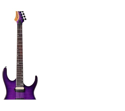 Amazon.com: Leo Jaymz Electric Guitar Monsoon Series,Reverse