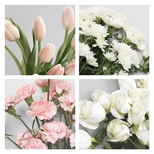 Franklincovey - Blooms Two Page Per Day Ring-Bound Planner (Classic, Jul 2023 - Jun 2024) #TOP7