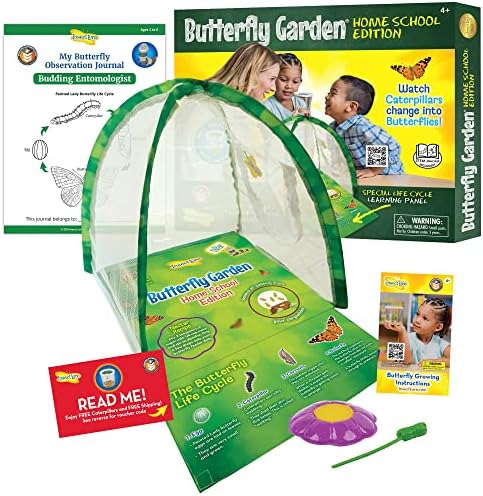 Insect Lore - Butterfly Growing Kit - Clear Front Facing Viewing Panel - Pre-Paid Voucher to Redeem Caterpillars Later – Life Science & STEM Education – Butterfly Science Kit