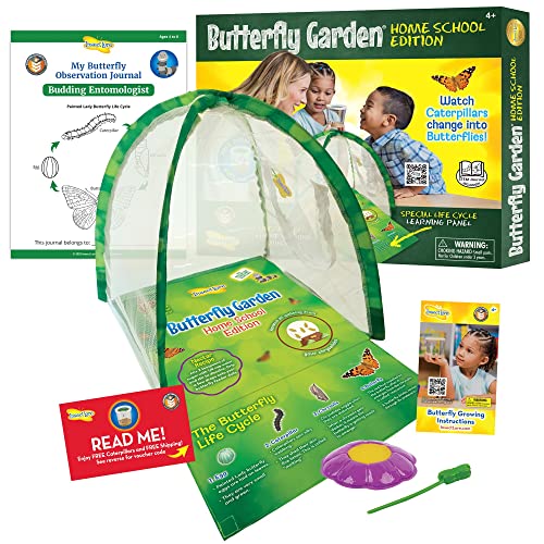 Our Best 10 Butterfly Garden Butterflies Growing Kits for Young Nature Enthusiasts!
