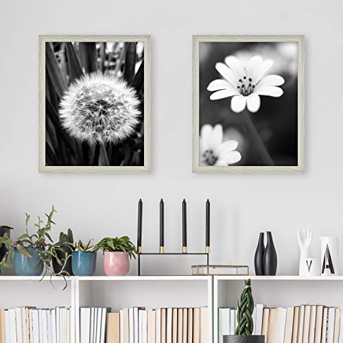 Mcs Studio Gallery Frame, Gray Woodgrain, 16 X 20 In, 2 Pk #TOP6