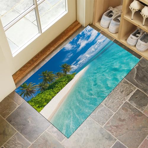 Paillasson intérieur extérieur résistant lavable pour entrée de maison