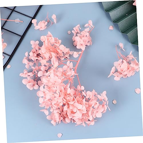 BESTOYARD paquete de pétalos de hortensia seca natural para artes miniatura 5