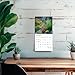 Gardens | 2026 7 x 14 Inch (Hanging) Monthly Mini Wall Calendar | BrownTrout | Gardening Outdoor Home