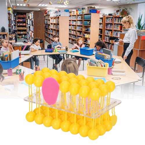 Modèle de membrane cellulaire fluide pour démonstrations captivantes en salle de classe - 2