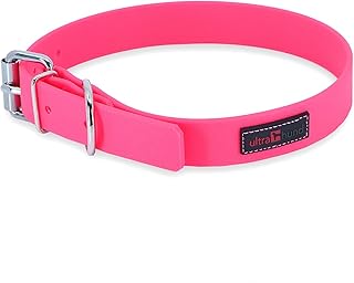 dog collars amazon