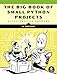 The Big Book of Small Python Projects: 81 Easy Practice Programs