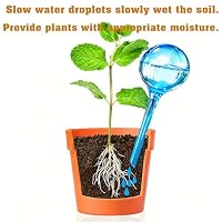 Self Watering Globes for Plant, 10pcs Auto Watering Bulb for Indoor Outdoor — image 6