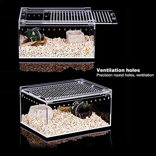 Seasaleshop Insectenterrarium transportbox | acryl voederbox | terrarium box voor insecten vogelspinnen amfibieën rupsen… - Afbeelding 4