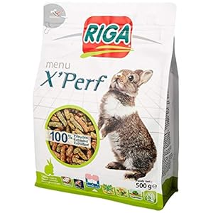 Riga X’PERF dwergkonijn, 500 g