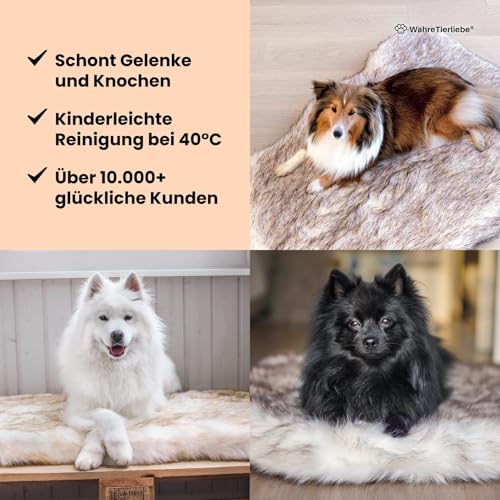 Wahre Tierliebe® Hundebett Relax - Das Original mit echter Matratze - waschbar, Hundekissen, Hundekorb, Flauschiges Hundebett für große, mittelgroße & kleine Hunde
