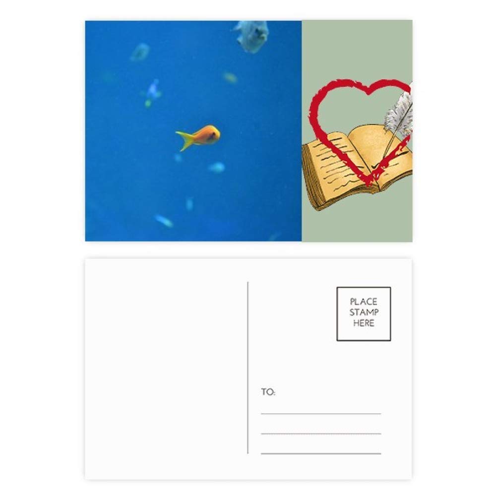 Ocean Fish Science Nature Picture Diary Day Lot de 20 cartes postales de remerciement