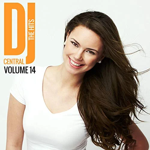 Dj Central - The Hits, Vol 14