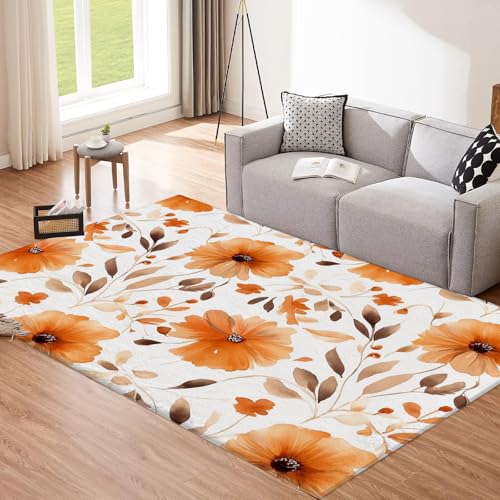 Tapis salon brun clair lavable grand tapis poils courts doux