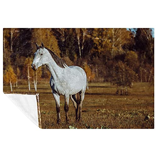 Couverture douce de lit imprimé cheval haute définition, grand plaid chaud canapé