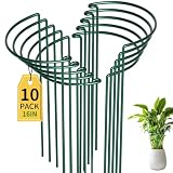 TCBWFY 10 Pack Garden Plant Support Stakes