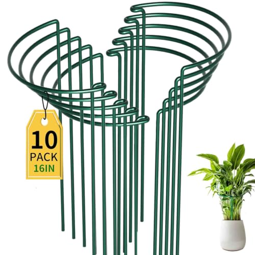 TCBWFY 10 Pack Garden Plant Support Stakes,10" Widex16 High Heavy Duty Interlinked Half Round Peony Support Ring Cage for Indoor Outdoor Plants,Plant Supports for Peony,Tomato,Hydrangea,Rose