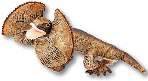 Amazon Co Jp Bocchetta ぬいぐるみ フィリー オーストラリア フリル ネックトカゲ ドラゴン アガマ サイズ 39cm 15 5インチ おもちゃ