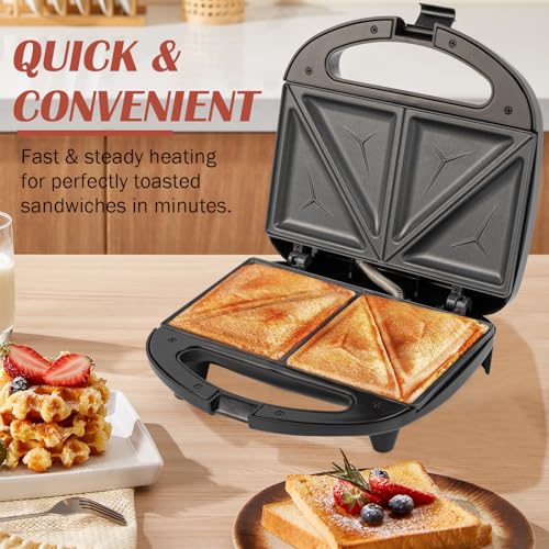 Vivicreate Electric Sandwich Maker & Panini Press, Countertop Contact Grill for Panini, Grilled Sandwiches & Breakfast, Indoor Electric Grill & Sandwich Press for Kitchen (Silve+Black)