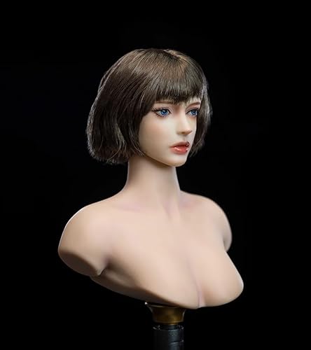 Miniatura 10 de Esculpa de cabeza femenina a escala 16, figura de acción de anime de belleza tallada para mujer soldado de 12 pulgadas, figura de acción PH TBL VC