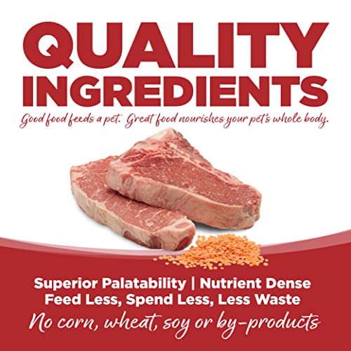 Yfcact 131065 Nutri Source Pure Vita Grain Free Beef & Red Lentils thumb #4