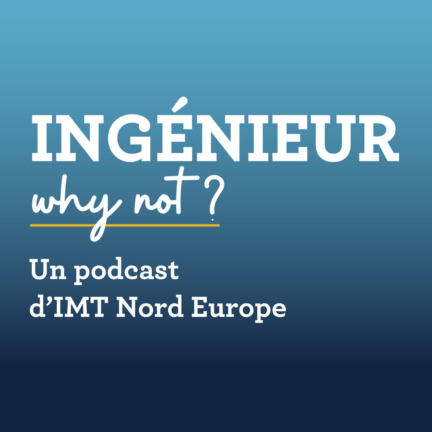 Ingénieur why not ?
