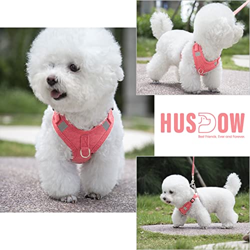 Husdow Small Dog Harness With 5 Ft Leash, Lightweight Soft Dog Halter Harness, Adjustable Reflective No Pull Dog Halter Harness (Xs, Pink) #TOP5
