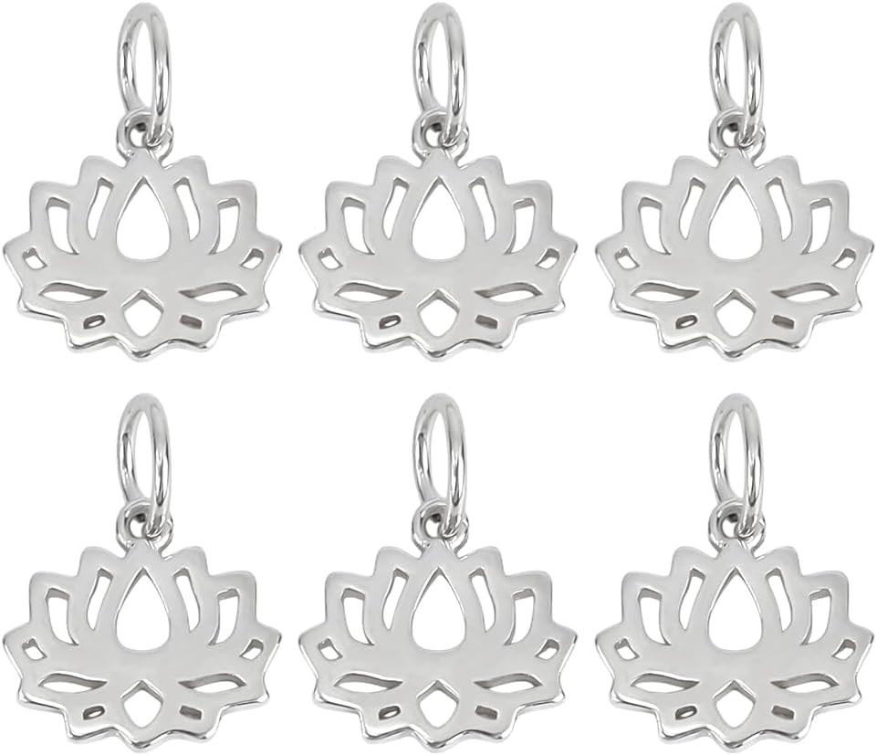 6PCS 925 Sterling Silver Charm Pendant Hollow Bead Charms For Women Pendants Crafting Charm for DIY Necklace Bracelet Jewelry Making Keychain Gift