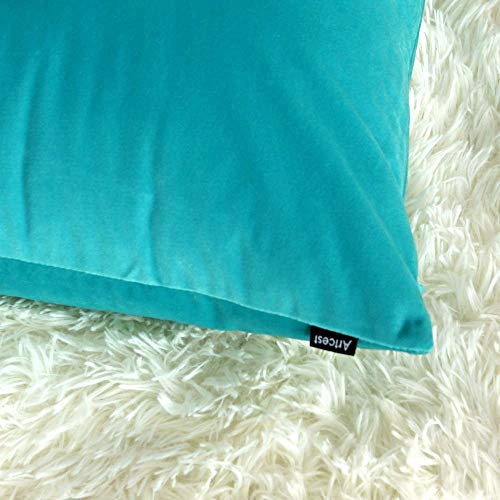 Artcest Set Of 2, Cozy Solid Velvet Throw Pillow Case Decorative Couch Cushion Cover Soft Sofa Euro Sham With Zipper Hidden, 18"X18" (Light Teal) #TOP3