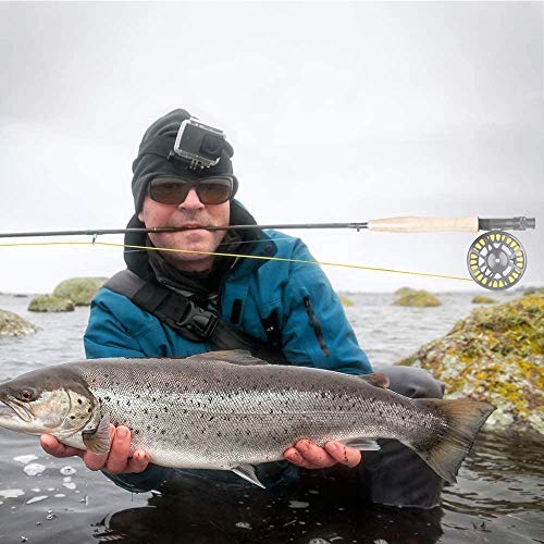 Goture 4 Piece 9 Feet Graphite Fly Fishing Rod, Travel Fly Fishing Rod Freshwater Saltwater,Ceramics Guides 30T Carbon Fiber Blanks Smooth Chromed Stainless Steel Snake Guides (Size:4Wt) #TOP5