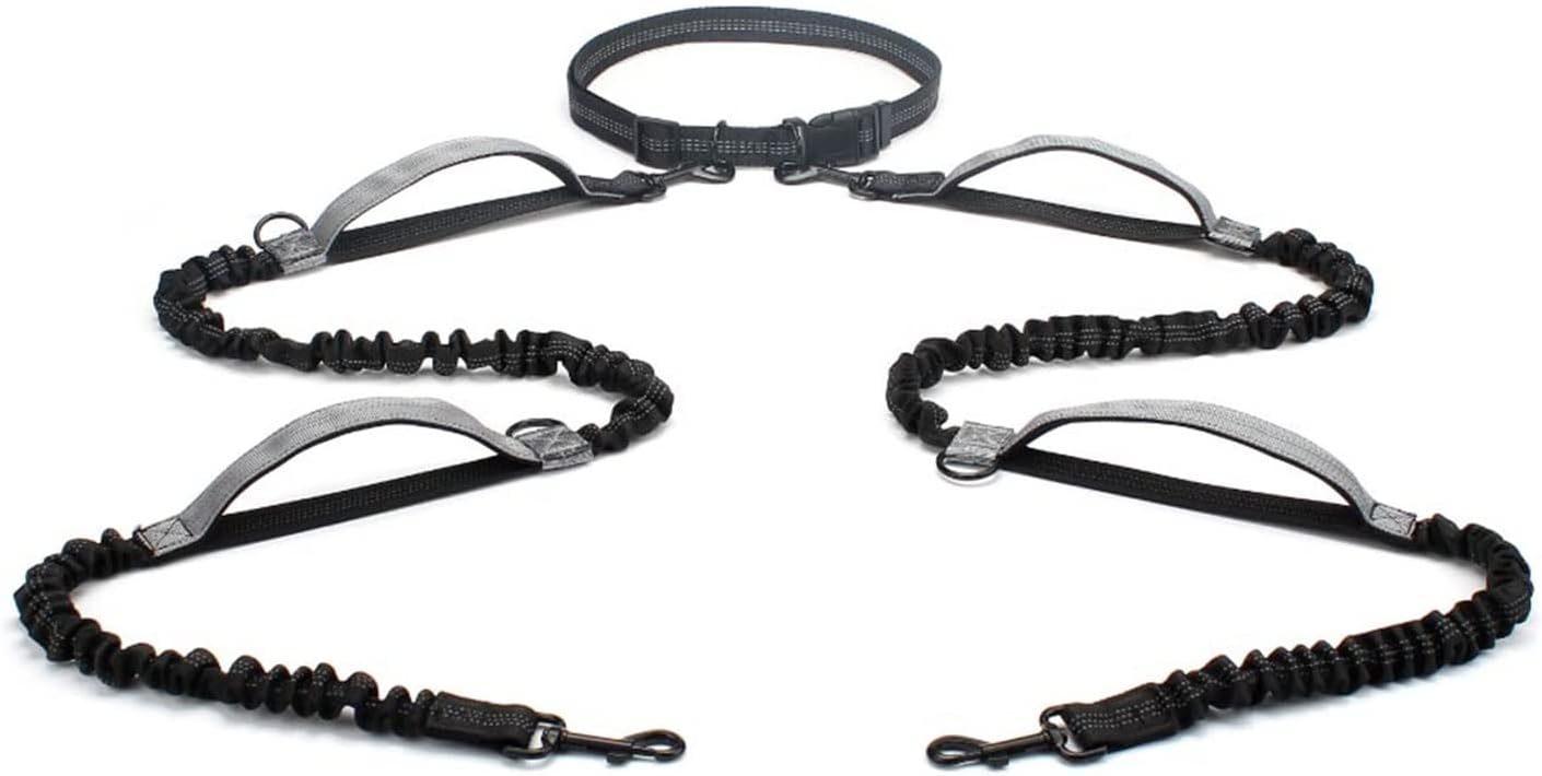 LESANGBAIHUODIAN Hands Free 2 Dog Leashes Bungee Retractable Dog Running Waist Leash Fit for Walking Jogging Training Hiking Fit for Large Dogs Supplies (Color : Grey-Padded Handle)