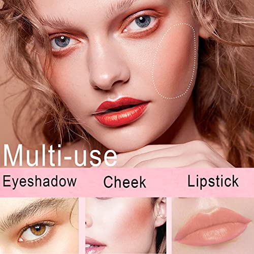 Paminify Blush Beauty Wand,Matte Face Blush With Cushion Applicator,Silky Smooth Creamy Dewy Liquid Blush Wand,Blendable Blush Rouge Stick For Cheek,Cruelty-Free,101 Ravishing,Nude Pink #TOP4