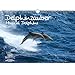 Delphinzauber DIN A3 Kalender - Immerwährender Kalender Delfin Delphin - Seelenzauber