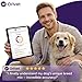 ORIVET GenoPet Plus Dog DNA Test Kit | Professional Breed Identification & Genetic Health Screening | Comprehensive Canine DNA Analysis with Personalized Life Plan
