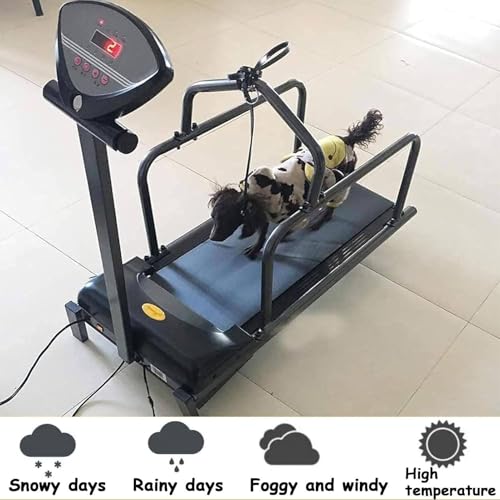 Performance tapis course chien