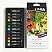 Lyra Oil Pastels Fine Art Oil Pastels - Case of 12