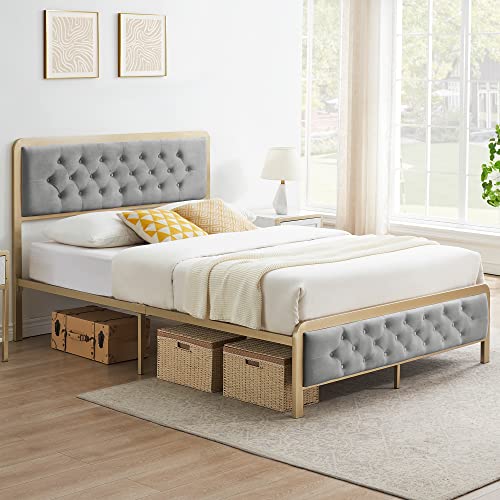 Alkmaar Golden Queen Size Bed Frame,Upholstered Bed Frame With Button Tufted Headboard,Heavy Duty Metal Easy Assembly,No Box Spring Needed (Grey, Queen) #TOP3